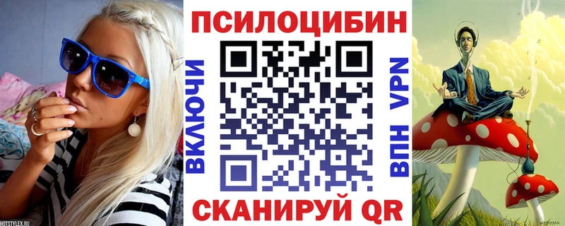 Псилоцибиновые грибы Psilocybine cubensis  Реутов 